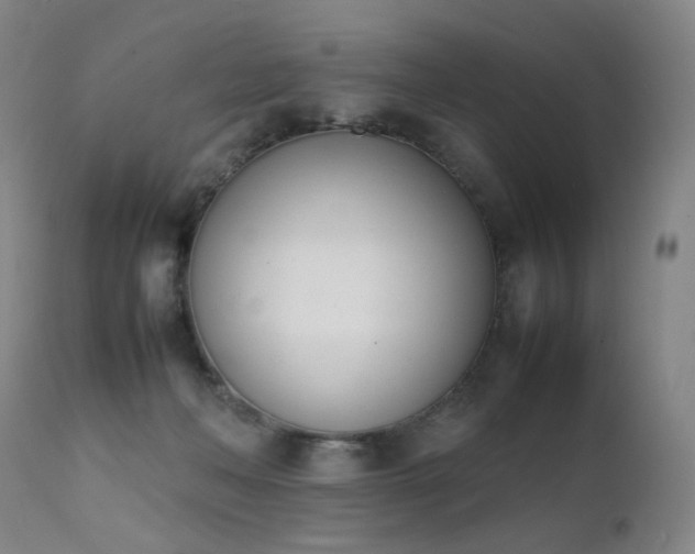 X0000111660222200907171618