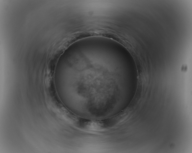 X0000111660223200907171618