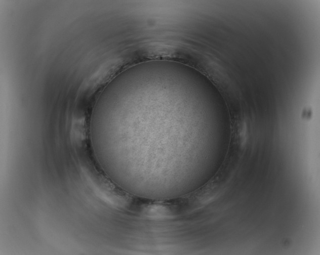 X0000111660224200907171618