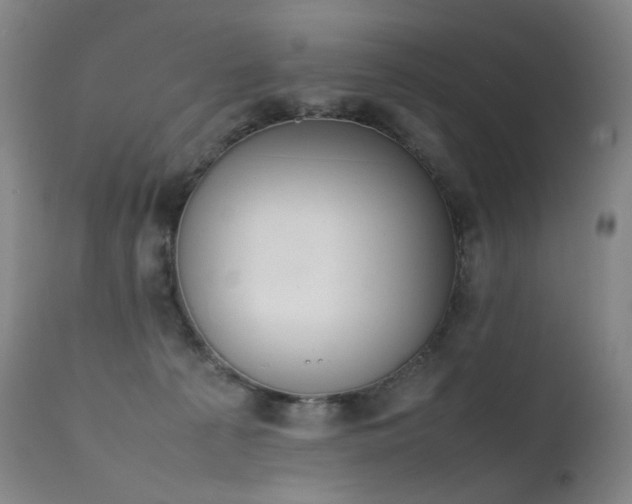 X0000111660225200907171618