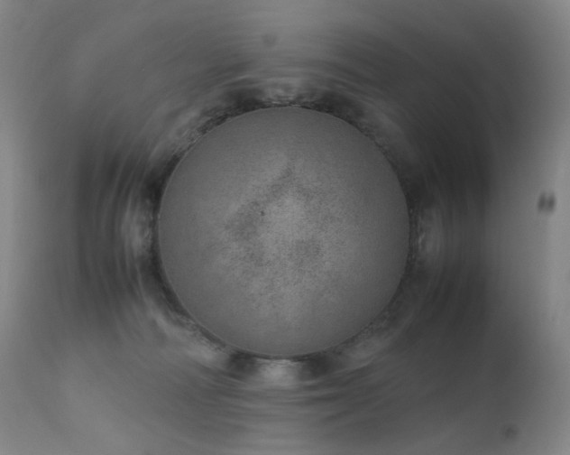 X0000111660226200907171618