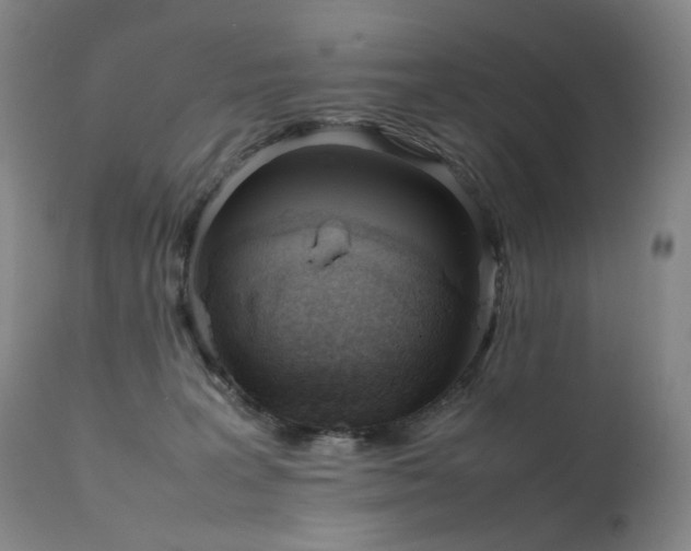 X0000111660227200907171618