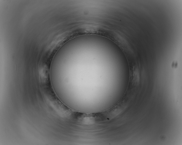 X0000111660228200907171618