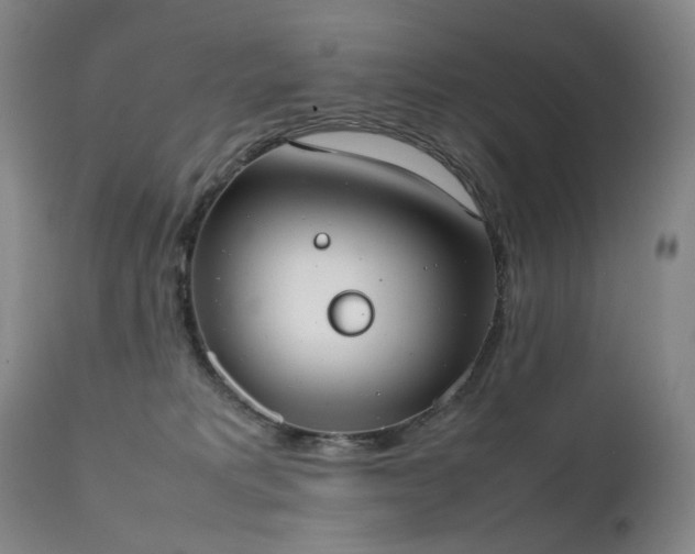 X0000111660229200907171618