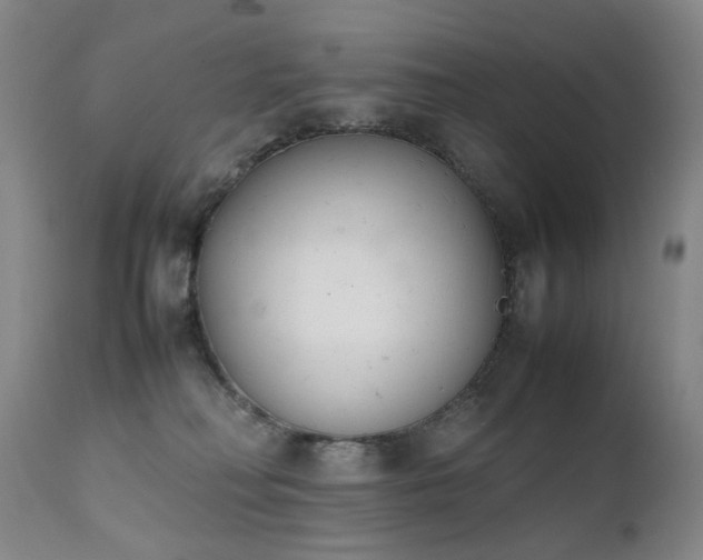 X0000111660230200907171618