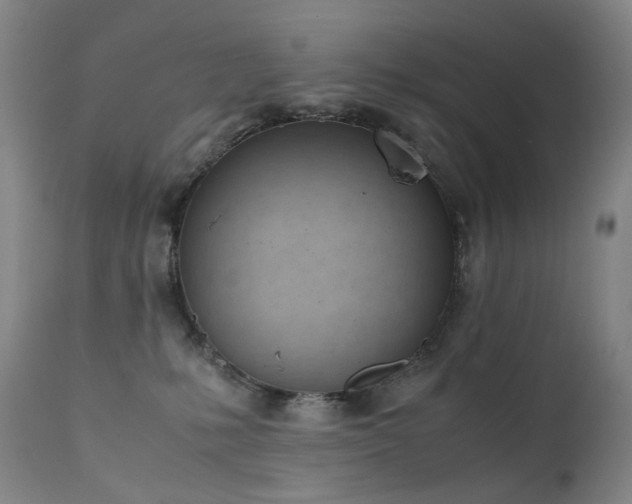 X0000111660231200907171618