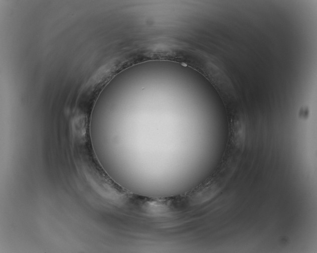 X0000111660232200907171618