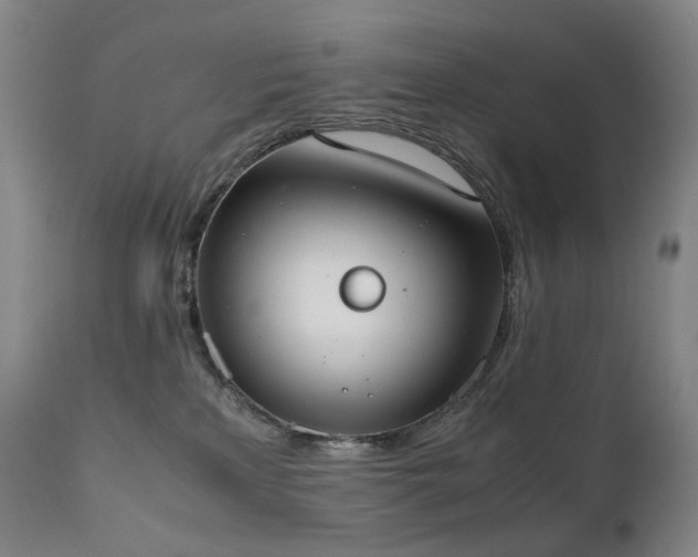 X0000111660233200907171618