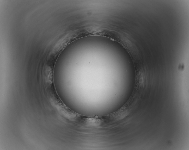 X0000111660234200907171618