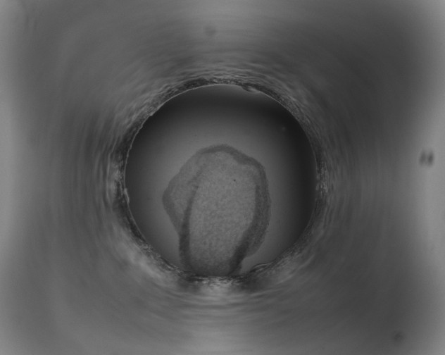 X0000111660235200907171618