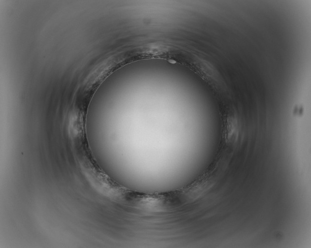 X0000111660236200907171618
