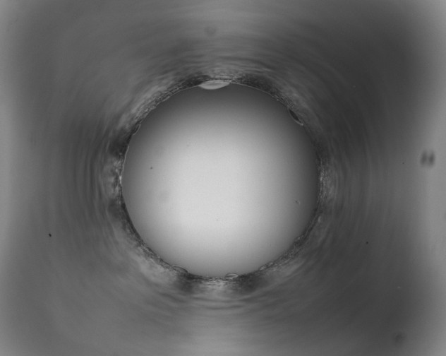 X0000111660237200907171618