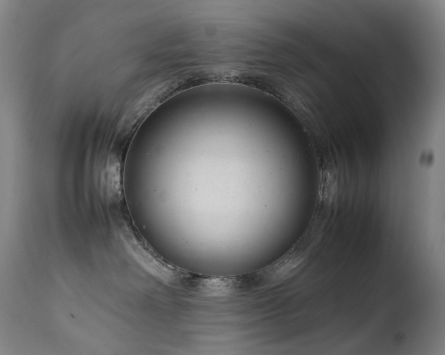 X0000111660238200907171618