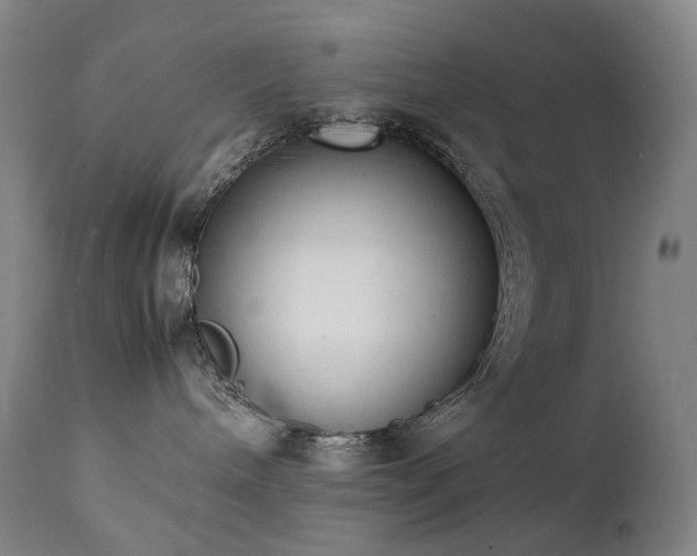 X0000111660240200907171618