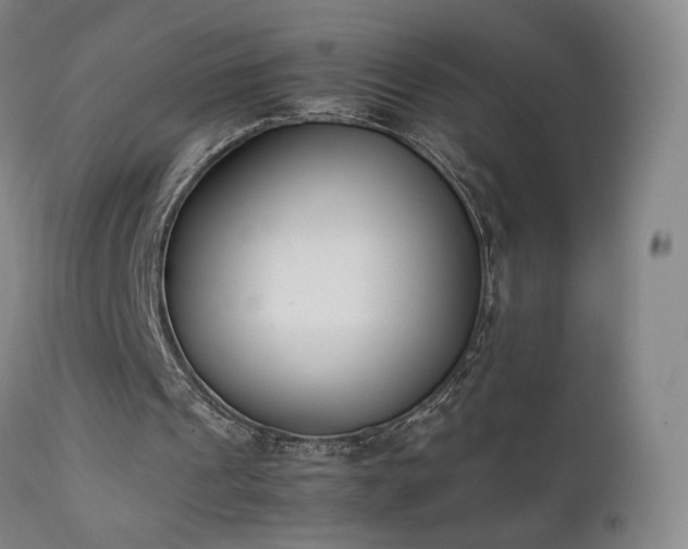 X0000111660241200907171617