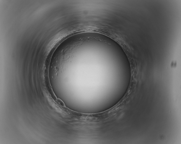 X0000111660242200907171617