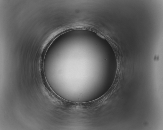 X0000111660244200907171617