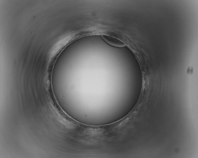 X0000111660245200907171617
