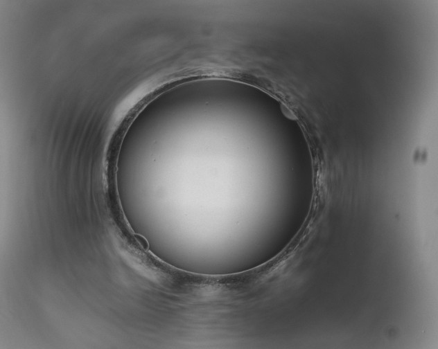 X0000111660246200907171617