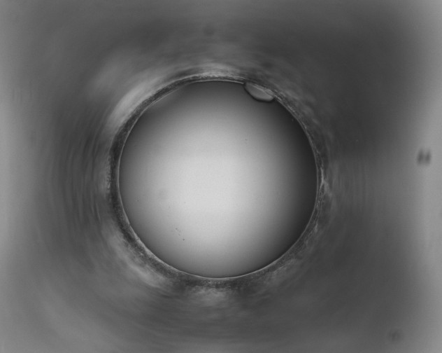X0000111660247200907171617