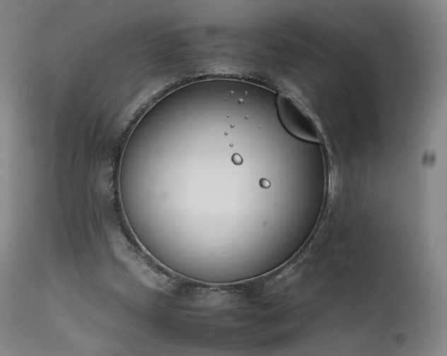 X0000111660249200907171617