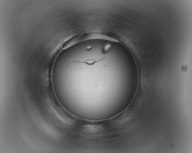 X0000111660251200907171617