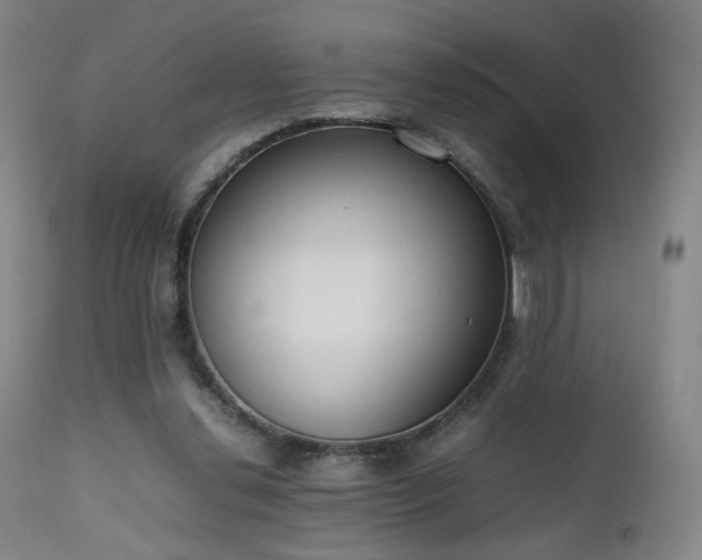 X0000111660252200907171617