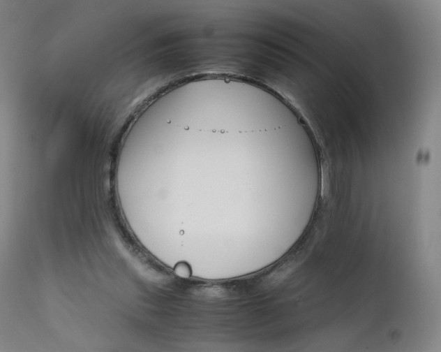 X0000111660253200907171617