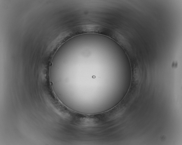 X0000111660255200907171617