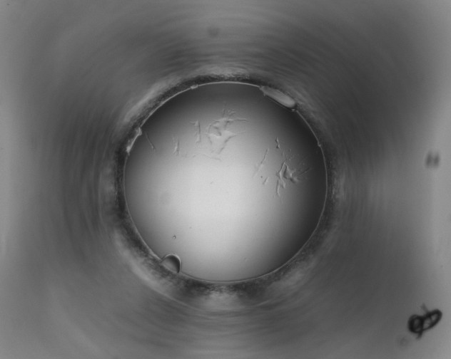 X0000111660256200907171617