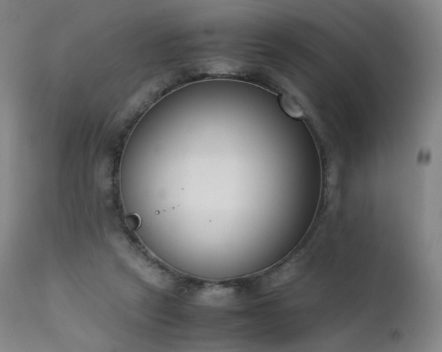 X0000111660257200907171617