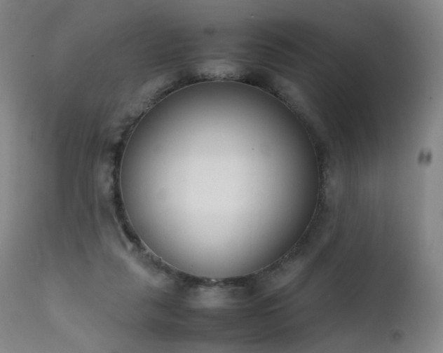 X0000111660259200907171617