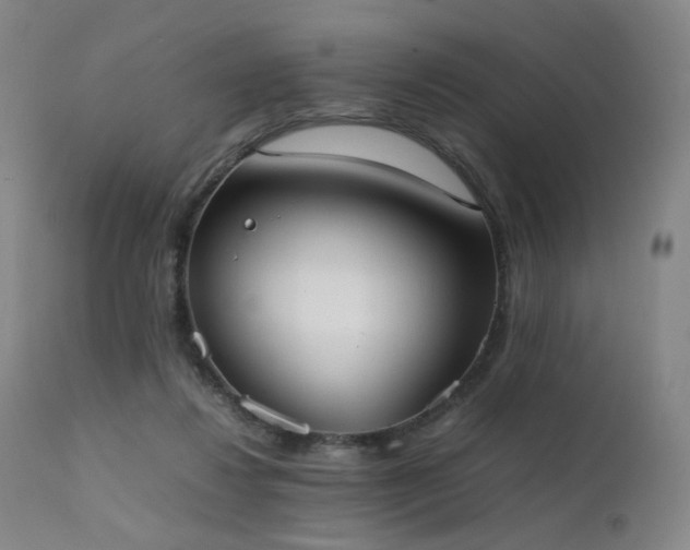 X0000111660260200907171617