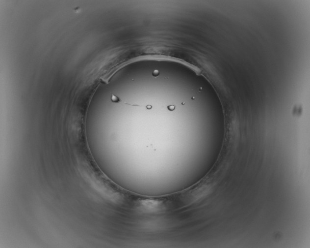 X0000111660265200907171617