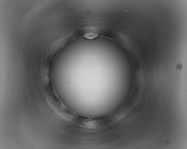 X0000111660267200907171617
