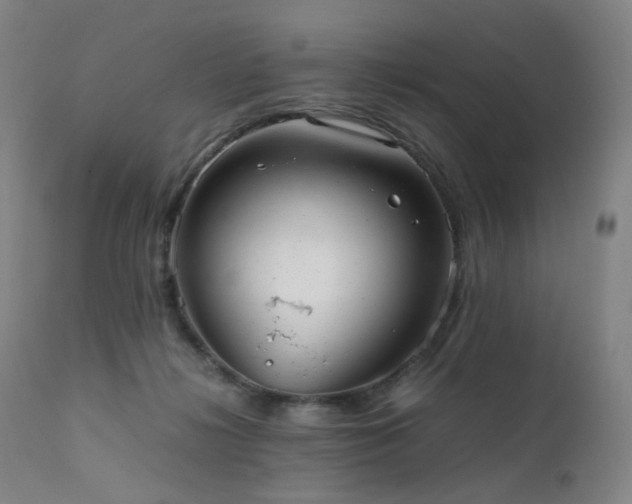X0000111660268200907171617