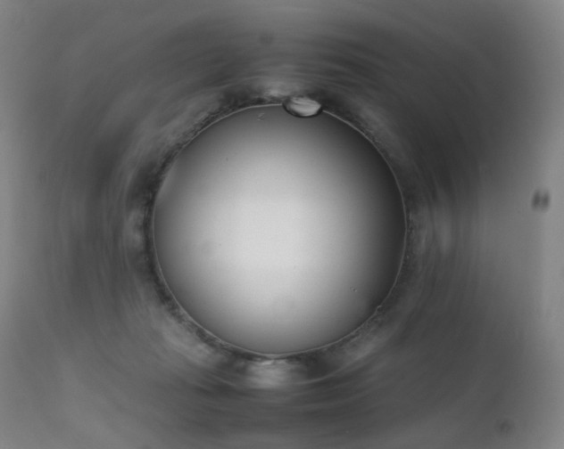 X0000111660269200907171617