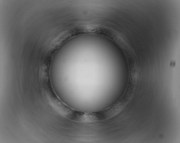X0000111660270200907171617