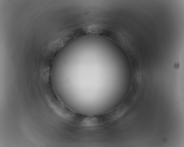 X0000111660271200907171617