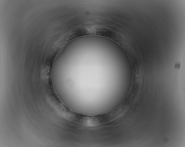 X0000111660275200907171617
