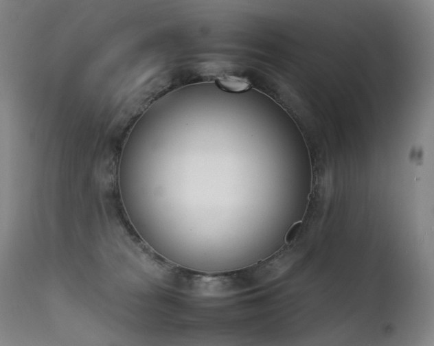 X0000111660277200907171617