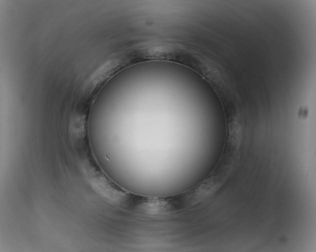X0000111660278200907171617