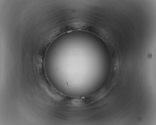 X0000111660279200907171617