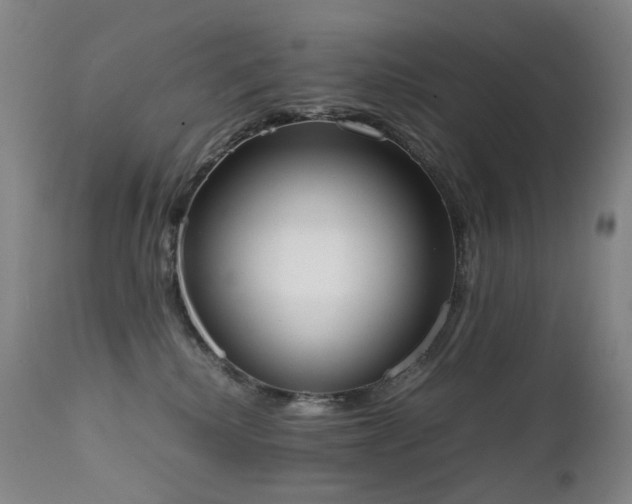 X0000111660280200907171617