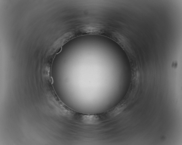 X0000111660281200907171617