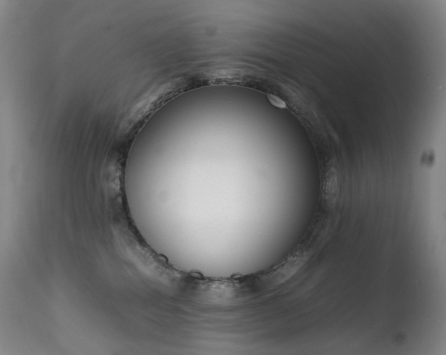 X0000111660282200907171617