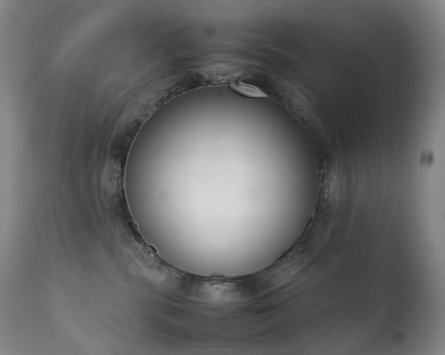 X0000111660283200907171618