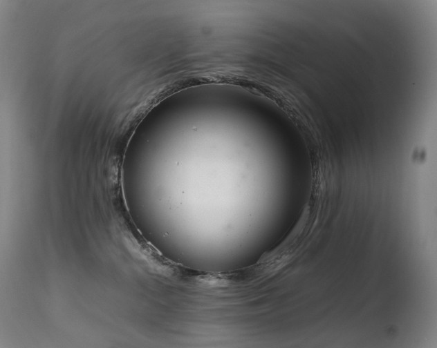 X0000111660284200907171618