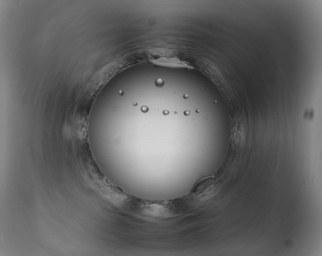 X0000111660285200907171618