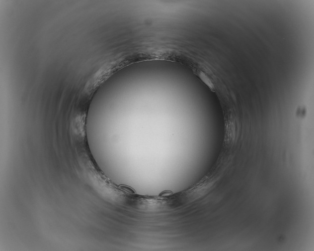 X0000111660286200907171618